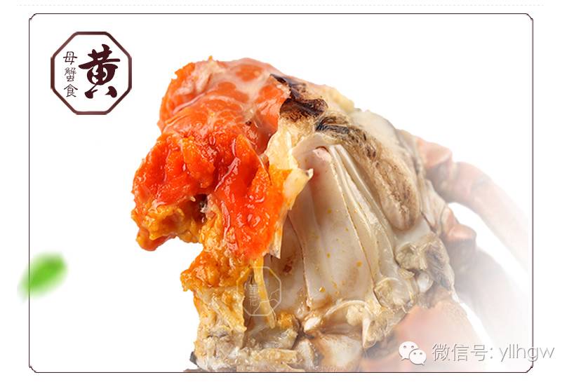 因为有钳,就是这么任性!