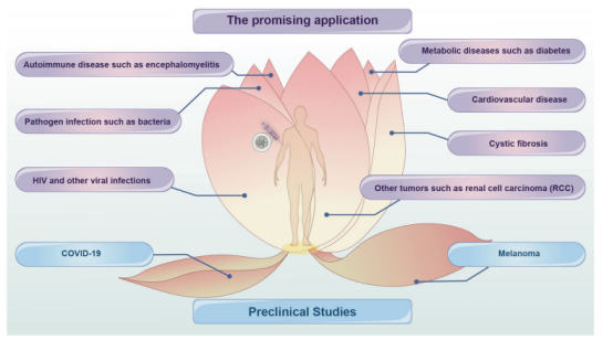 circRNA的潛在應(yīng)用
