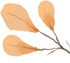 怎么让自动呼吸大脑中的想法不受控制？学会静观三步呼吸空间，停止思维自动导航_https://www.jmylbn.com_新闻资讯_第1张