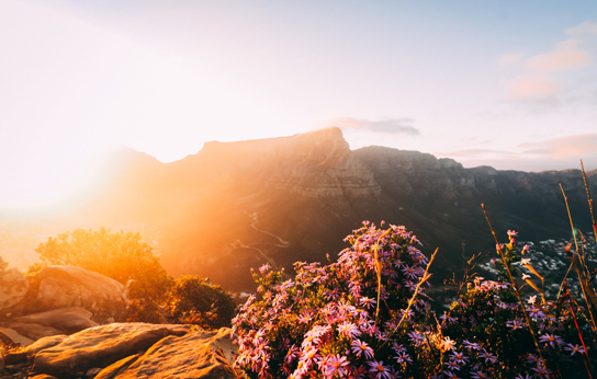 【思维导图“画”作文】魏梓桓《二十年后的故乡》五年作文（21）