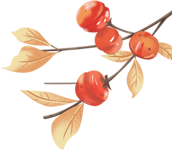 【思维导图“画”作文】魏梓桓《二十年后的故乡》五年作文（21）