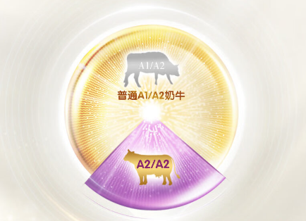 金领冠奶菁护粉怎么样_金领冠菁护奶粉怎么样_金领冠菁护奶粉怎么辨别真假