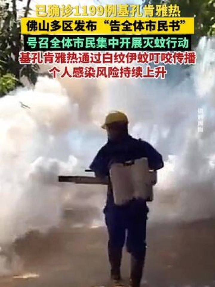 佛山多区开展灭蚊行动，白纹伊蚊叮咬传播风险升高
