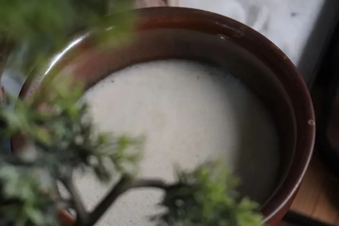 寻宋之旅丨从《梦华录》看宋代卖茶文君的茶水单