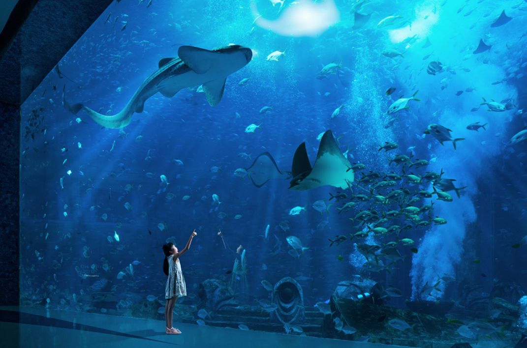 三亚亚特兰蒂斯酒店919大促2788元起2晚含早水世界水族馆无限次国庆外周末不加价