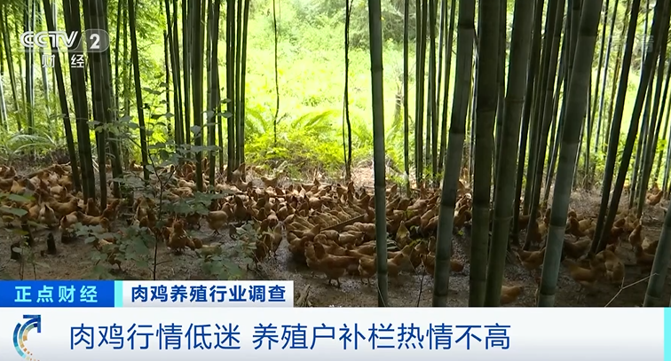 640?wx_fmt=png&tp=webp&wxfrom=5&wx_lazy=1&wx_co=1