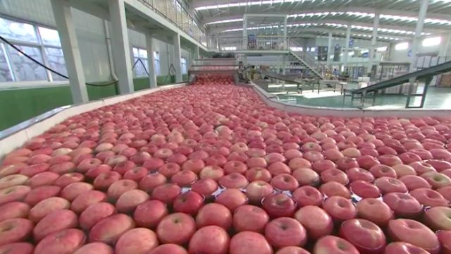 今年苹果为什么这么贵？