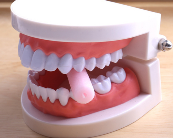 牙科材料硅胶怎么用如何使用咬胶？试试这些小技巧！_https://www.jmylbn.com_新闻资讯_第6张