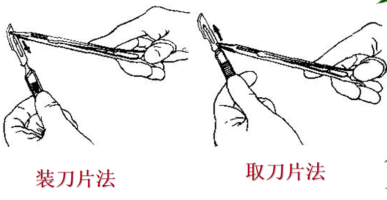 为什么要结扎血管谈骨论筋丨最全的外科手术基本功，别怪我没告诉你！_https://www.jmylbn.com_新闻资讯_第3张