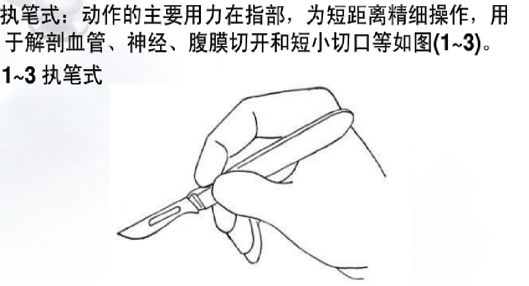为什么要结扎血管谈骨论筋丨最全的外科手术基本功，别怪我没告诉你！_https://www.jmylbn.com_新闻资讯_第6张