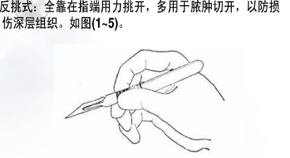 为什么要结扎血管谈骨论筋丨最全的外科手术基本功，别怪我没告诉你！_https://www.jmylbn.com_新闻资讯_第7张