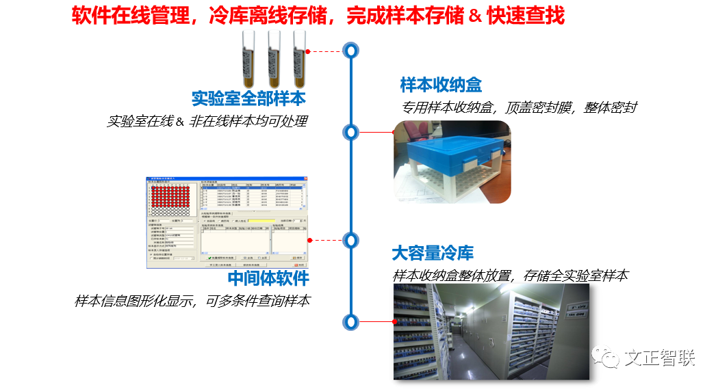 日立生化 怎么样生化免疫流水线大盘点（二）：日立，IDS，Inpeco......_https://www.jmylbn.com_新闻资讯_第10张