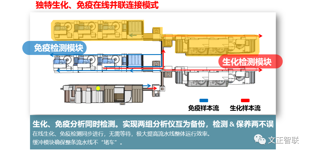 日立生化 怎么样生化免疫流水线大盘点（二）：日立，IDS，Inpeco......_https://www.jmylbn.com_新闻资讯_第8张
