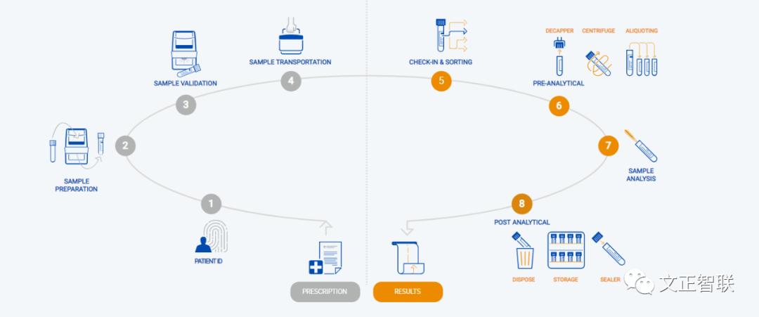 日立生化 怎么样生化免疫流水线大盘点（二）：日立，IDS，Inpeco......_https://www.jmylbn.com_新闻资讯_第36张