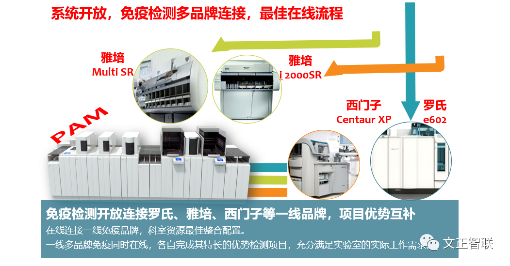 日立生化 怎么样生化免疫流水线大盘点（二）：日立，IDS，Inpeco......_https://www.jmylbn.com_新闻资讯_第6张