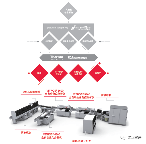 日立生化 怎么样生化免疫流水线大盘点（二）：日立，IDS，Inpeco......_https://www.jmylbn.com_新闻资讯_第18张