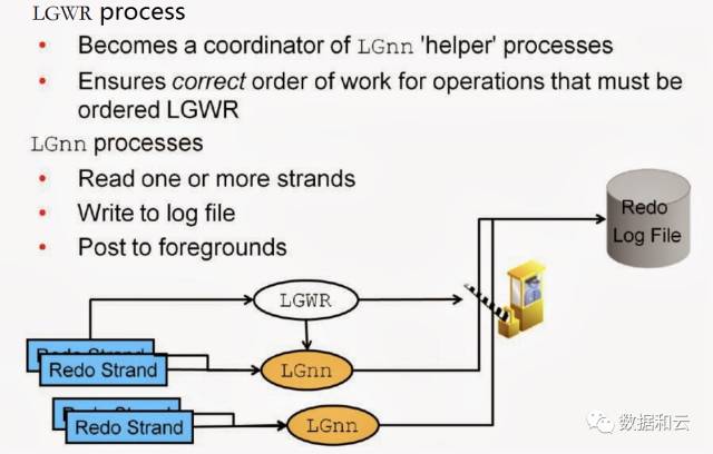 640?wx_fmt=png&tp=webp&wxfrom=5&wx_lazy=