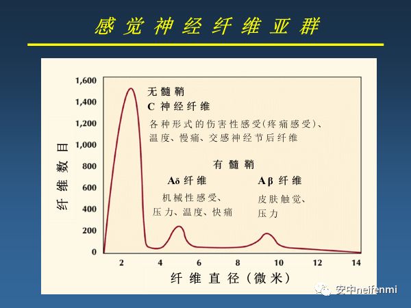 糖尿病患者福音 感觉神经定量测量仪 安中neifenmi 微信公众号文章阅读 Wemp