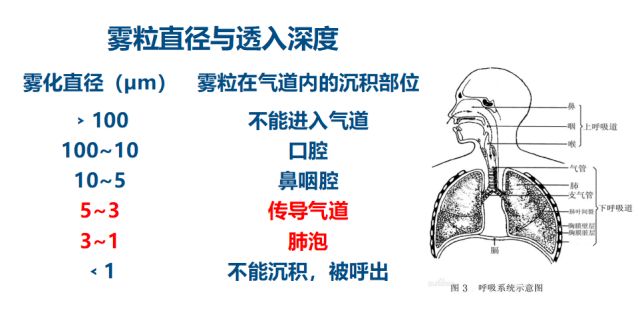 为什么超声雾化器雾量少敲黑板！关于雾化的几个知识点_https://www.jmylbn.com_新闻资讯_第8张
