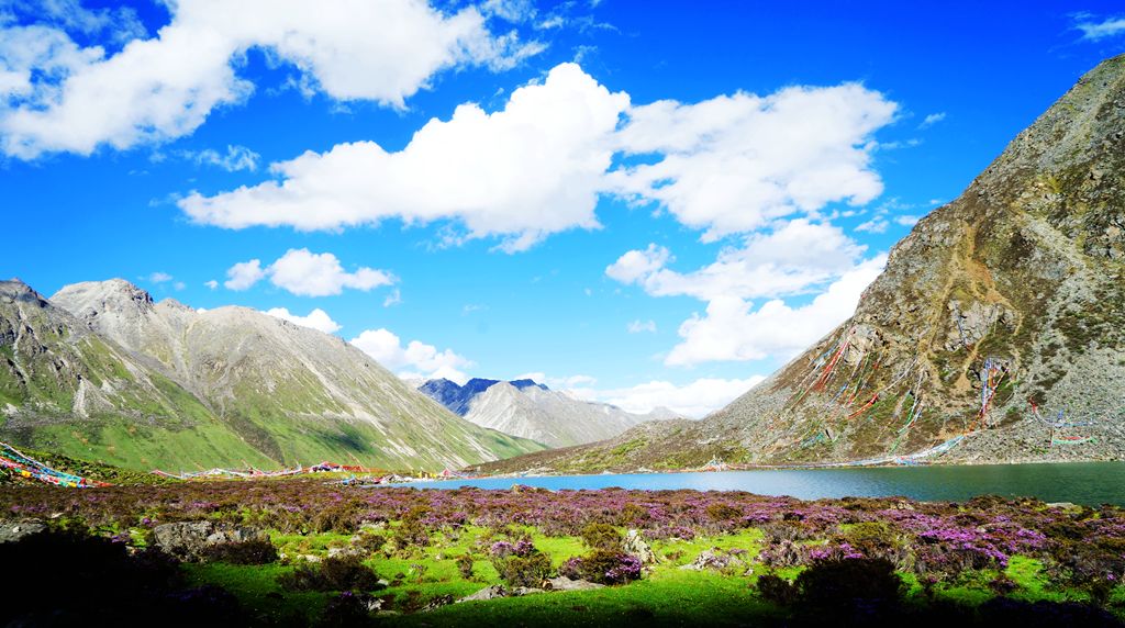 



在西藏，率性而行，人生不止财务自由，还有精神自由
