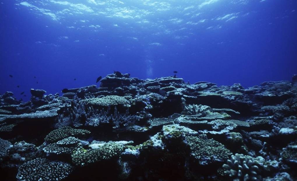 10924米深的马里亚纳海沟天然触感,是目前已知地球最深点和最神秘的