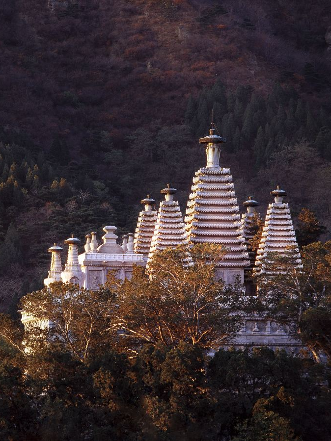 特定的形式和风格的中国传统建筑:古塔