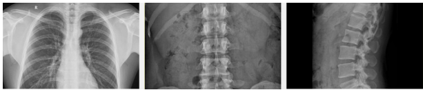 万东dr怎么样2020年DR销售量排行_https://www.jmylbn.com_新闻资讯_第9张