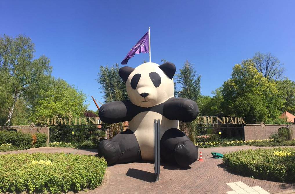 花5100万给俩熊猫造了个全球最壕宫殿荷兰人哭了中国人笑了