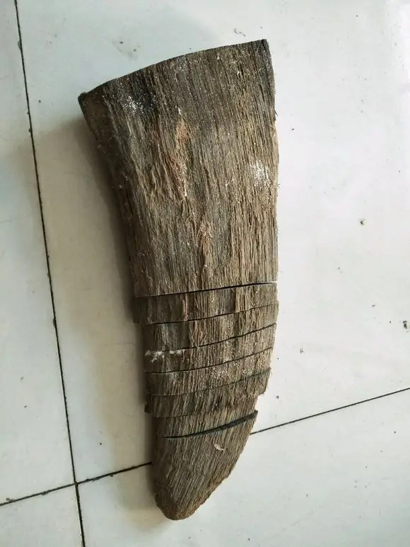 披毛·犀牛角,到底什么来头? 披毛·犀牛角,到底什么来头?