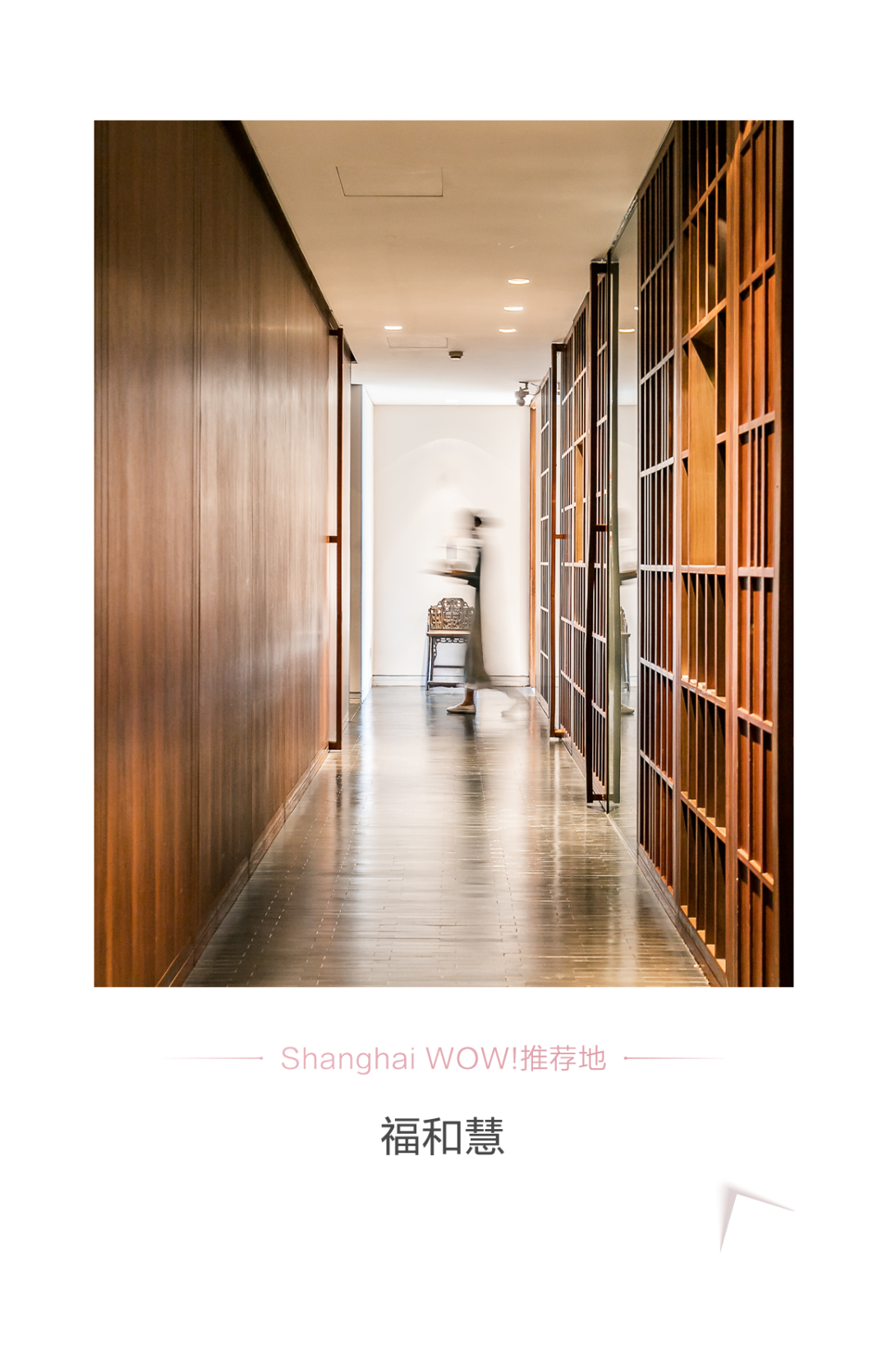 Shanghaiwow 自由微信 Freewechat