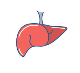 微波针是什么新技术新项目｜​一根细针就能治疗肝癌？！让我们了解一下微波消融术_https://www.jmylbn.com_新闻资讯_第3张