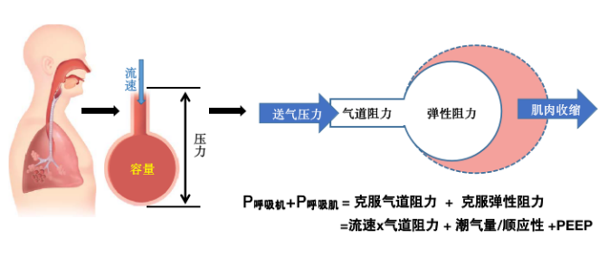 为什么呼吸机人机同步人机同步性概述_https://www.jmylbn.com_新闻资讯_第11张