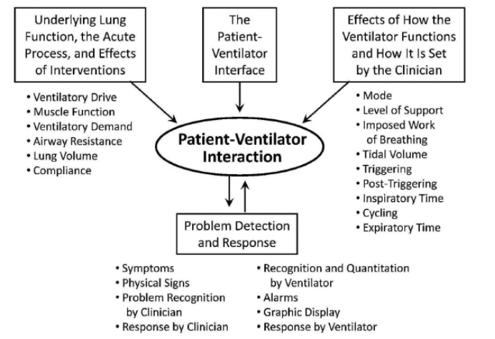 为什么呼吸机人机同步人机同步性概述_https://www.jmylbn.com_新闻资讯_第3张