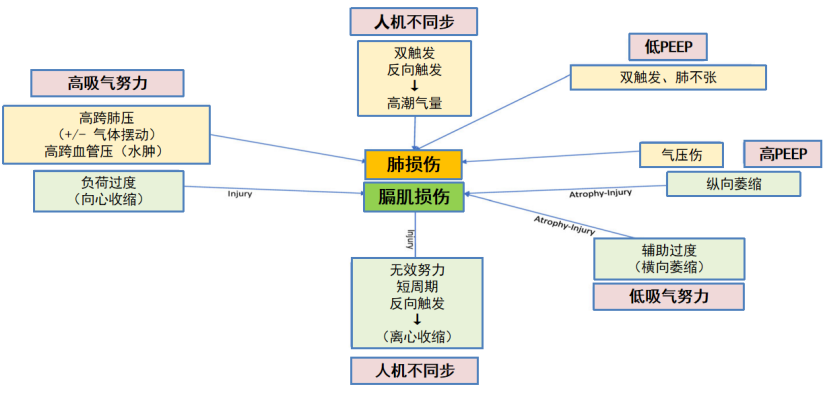 呼吸机怎么看自主呼吸ARDS自主呼吸的那些事-1_https://www.jmylbn.com_新闻资讯_第2张