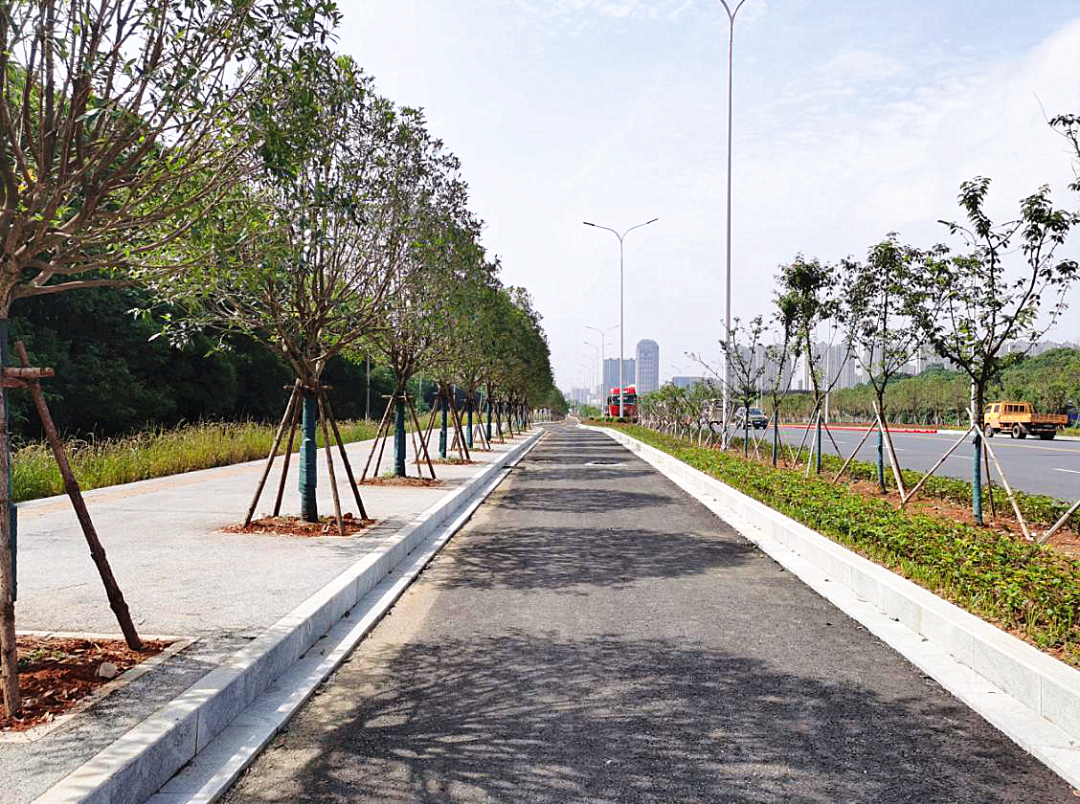 桂苑大道(双港大街至志敏大道路段)通车啦_部门工作_南昌经济技术开发