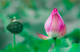 AI入门-计算机视觉学习指南[附资源]