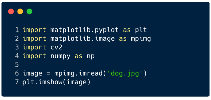 用 Pytorch 理解卷积网络的图7