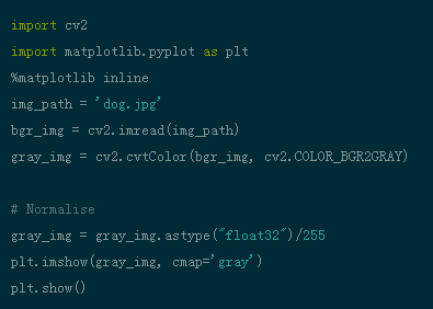 用 Pytorch 理解卷积网络的图16