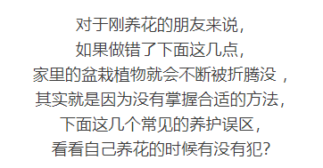养花的这些误区，你有没有中招哈！