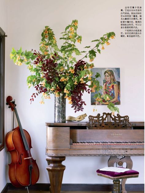 花草饰家，清凉一“夏”