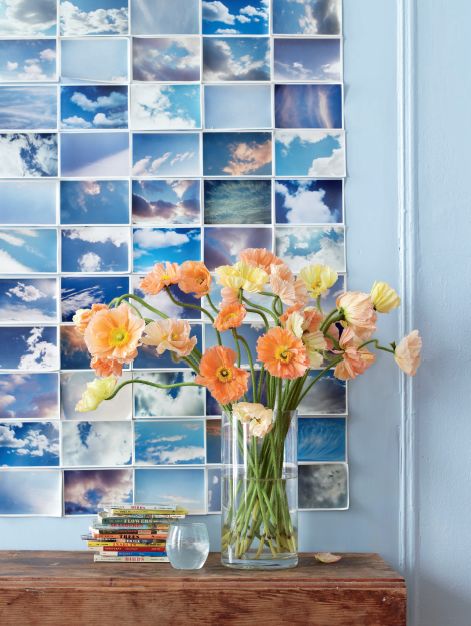 花草饰家，清凉一“夏”