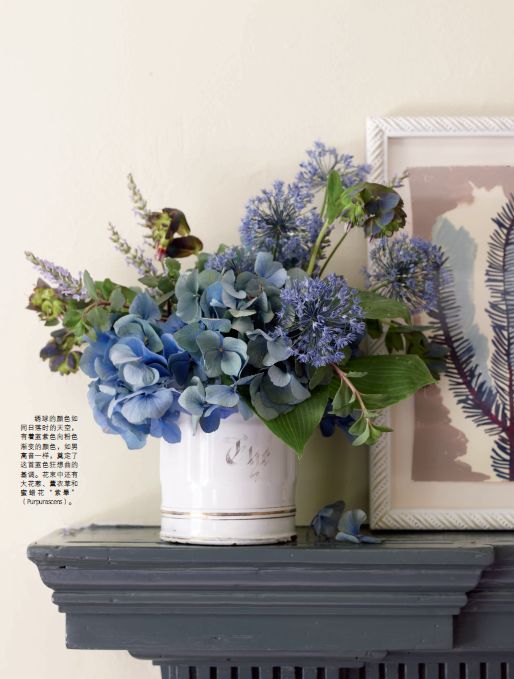 花草饰家，清凉一“夏”