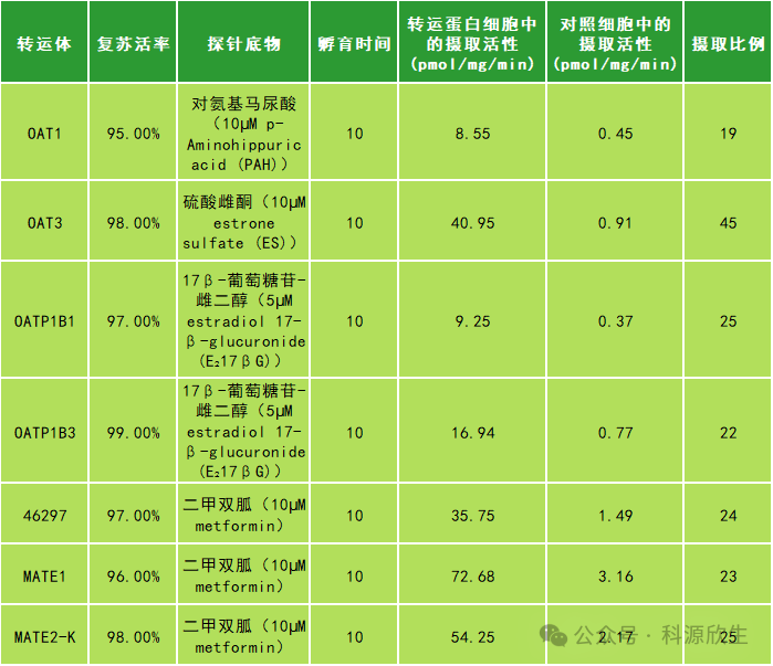 科源欣生推出新品 OATP1B1转运体细胞