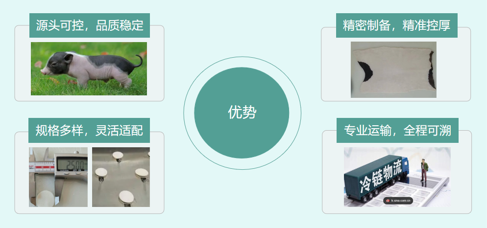 精准定制・实验无忧｜科源欣生实验用猪皮全新上市