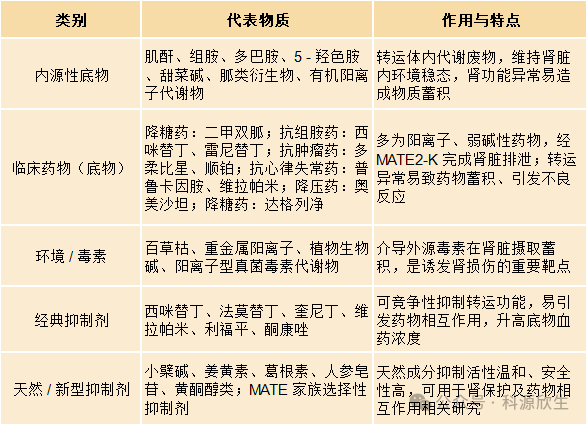 科源欣生新品SLC转运体 OAT3发布