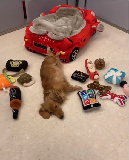 摔出一地口红每双鞋都价值千金炫富嘛,就直接把钱洒出来好了听说亮色