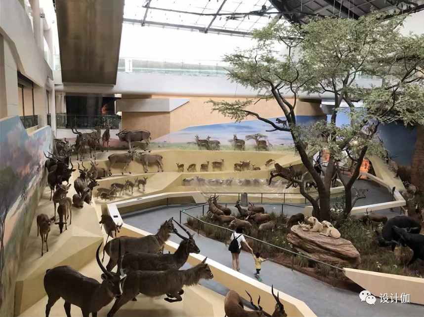 水北作品：流逸神秘 森林气息 科普馆布展设计