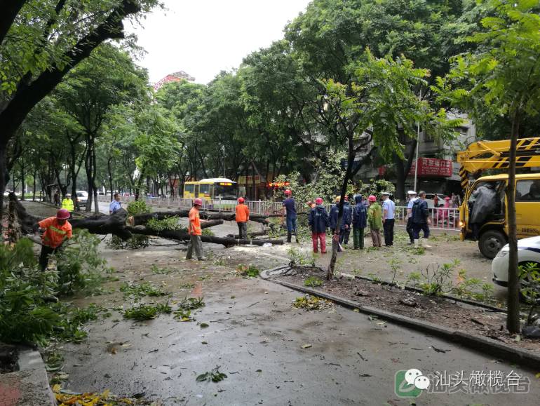 台风海马致汕头直接经济总损失7264亿元逾56万人受灾