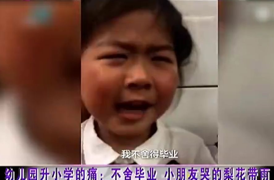 直播：幼升小，父母如何幫助孩子適應小學生活 親子 第2張