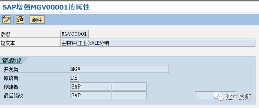 Extension Idoc 扩展标准 Idoc - 封面图